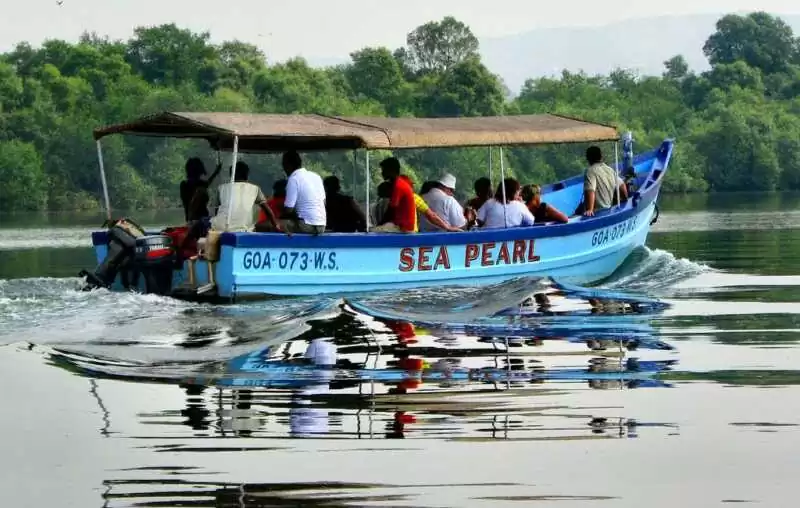 Crocodile-and-Birdwatching-Boat-Goa-Trip