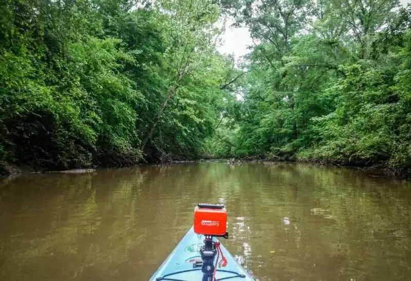 Mangrove Kayaking backwater trip Goa