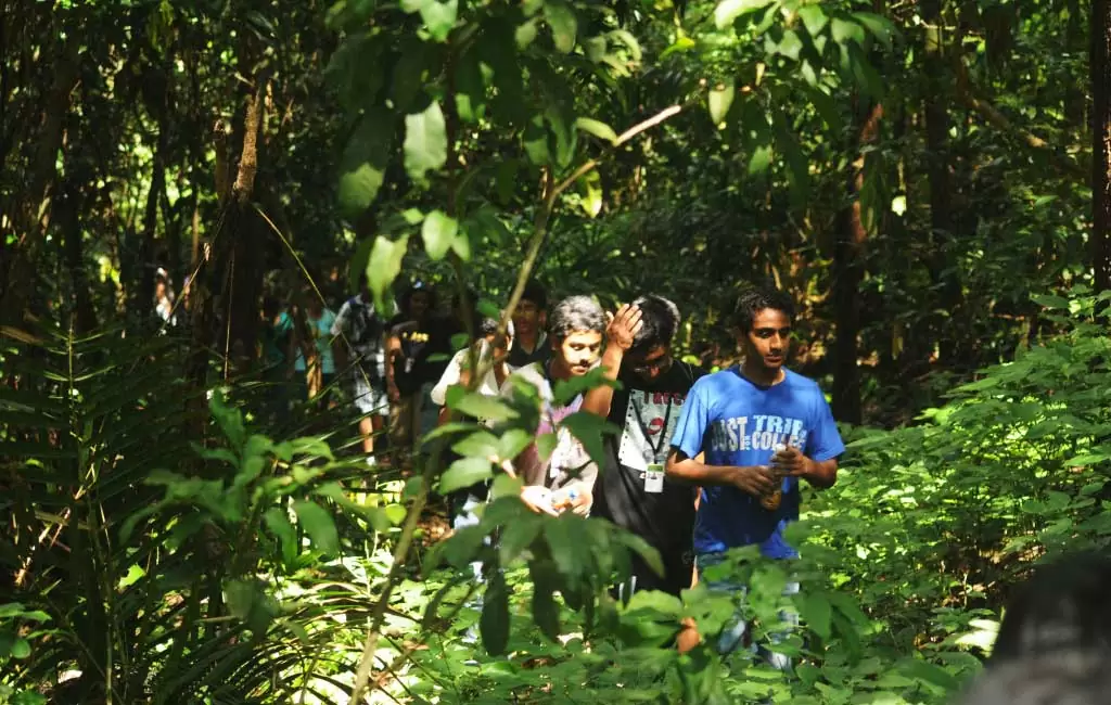 Trekking trip - Tambdi Surla Goa