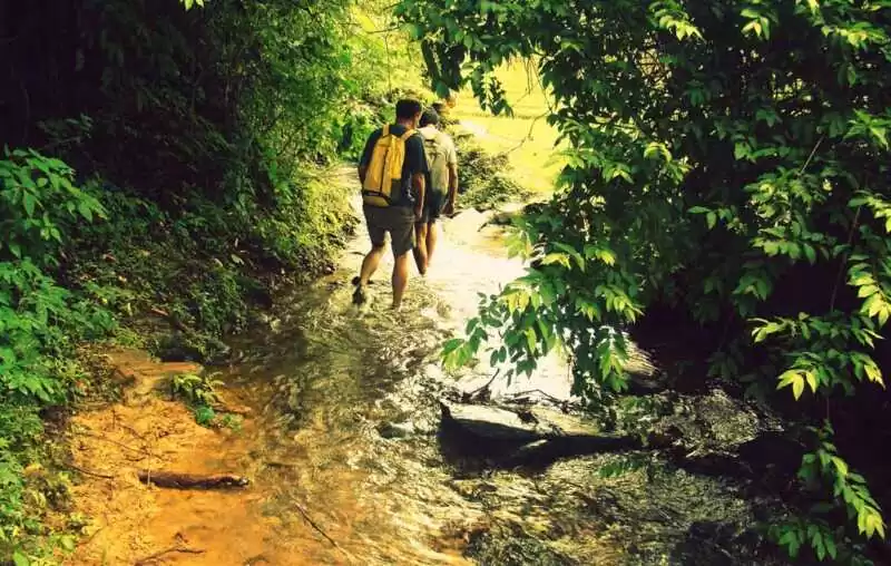 Trekking tour Tambdi Surla Goa