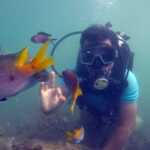best-scuba-diving-at-malvan